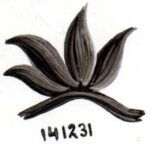DS-19 NEGRO 141231