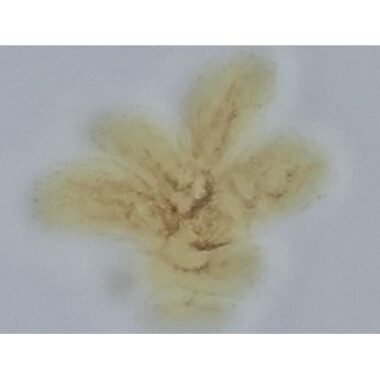 PIGMENTO REACTIVO MARRON AMARILLO F-5